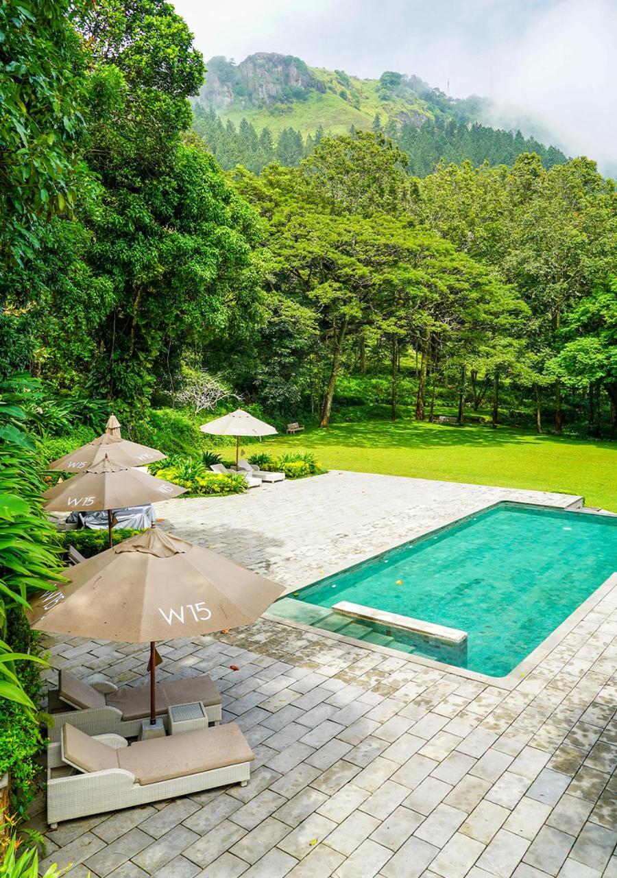 W15 Hanthana Estate Канди Экстерьер фото